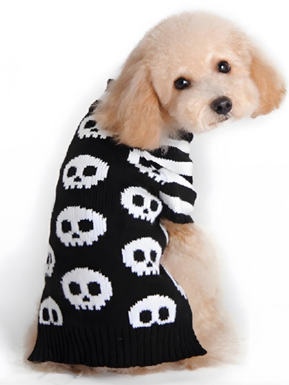 Skull and Stripes Pattern Dog Sweater